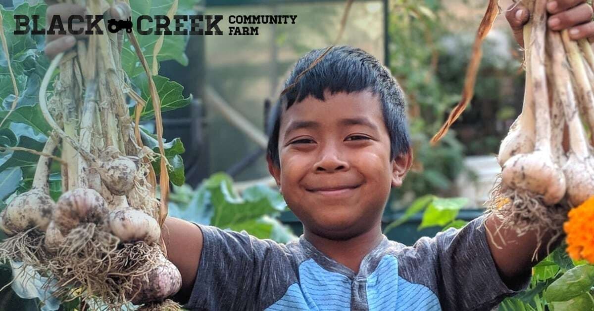 Black Creek Community Farm in Vaughan
